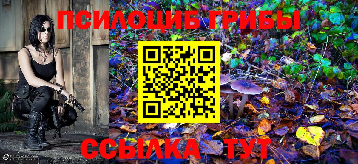 даркнет сайт  Вход с VPN  Нижний Тагил  Псилоцибиновые грибы Magic Shrooms 